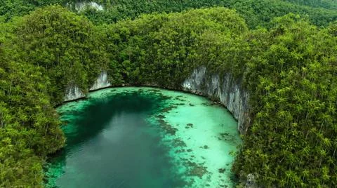 The tall elephant cliffs blocking the waves are covered with green trees and  Stock Photos