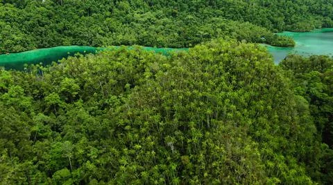 The tall elephant cliffs blocking the waves are covered with green trees and  Foto stock