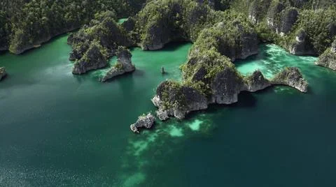 The tall elephant cliffs blocking the waves are covered with green trees and  Stock Photos