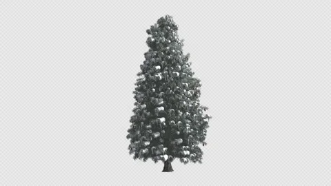 A tall, festive New Year's tree in the snow, on a transparent background Stock Footage 334211330