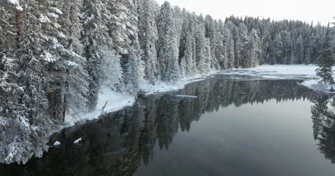 Tall fir trees are reflected in the mirror water. Ice lake in a fairy forest Stock Footage 230261895