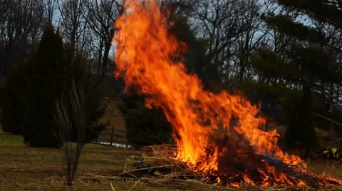 Tall Flames Burn Brush 스톡 동영상 36481719
