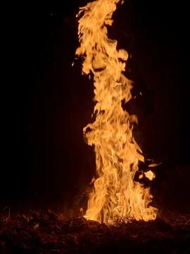 Tall flames dance upward from a patch of burning grass during nighttime, Foto stock