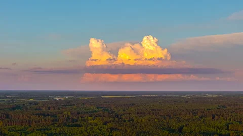 Tall glowing cloud stack rising above flat forest horizon under bright blue Stock Footage 313865624