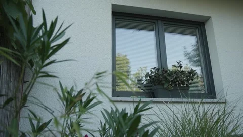 Tall grass blades fill the foreground while potted plants with dark-green leaves Stock Footage 340957249