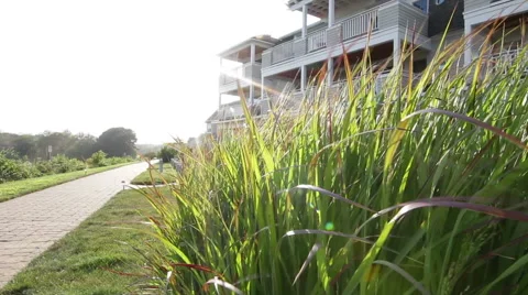 Tall grass blows in the breeze in front of a hotel Stock Footage 40669181
