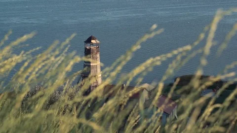 Tall grass blows in the wind as a lighthouse appears in the background Stock Footage 110904373