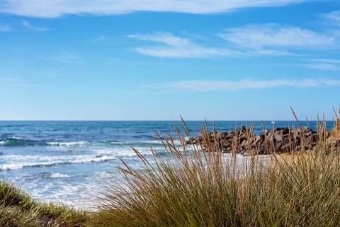 Tall Grass In Front Of A Sandy Beach Stock Photos