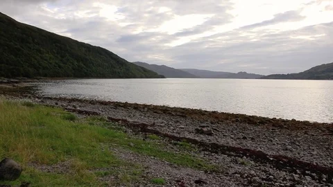 Tall grass gently blows in the breeze from across a wide Scottish loch on an Stock-Footage 80100172