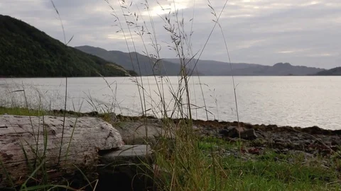 Tall grass gently blows in the breeze from across a wide Scottish loch on an Stock-Footage 80100186