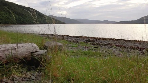 Tall grass gently blows in the breeze from across a wide Scottish loch on an Stock-Footage 80100187