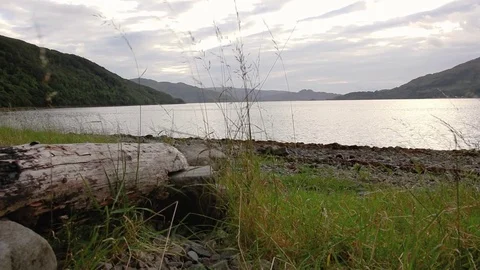 Tall grass gently blows in the breeze from across a wide Scottish loch on an Stock-Footage 80100200