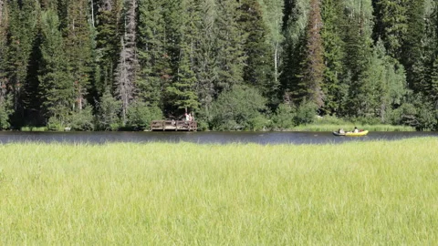 Tall grass in mountain meadow next to lake, 4K Stock Footage 231540508