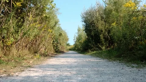 Tall Grass Summer Path Landscape Nature Scene Stock Footage 331945131
