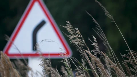 Tall grass sways in the wind.  close-up. on the background of a road sign Stock Footage 195096697