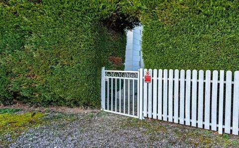 Tall green coniferous hedge with a rectangular entrance passage Фото