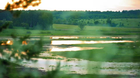 Tall green grass in the background of calm water surface of a lake, pond, river  Stock Footage 119497042