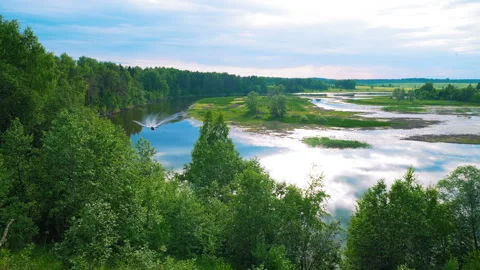 Tall green grass on the side of the river, where a motor boat with fishermen  Stock Footage 119497163
