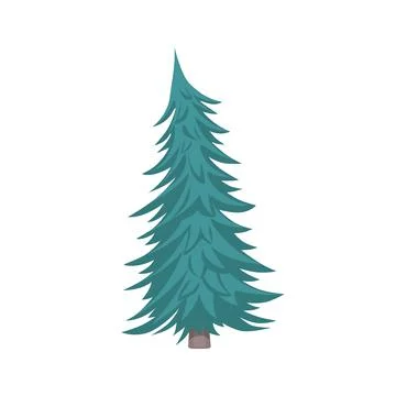 Tall green spruce, evergreen tree with cones from coniferous forest Stock Illustration