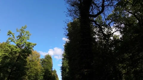 Tall Hedge Tunnel Garden Path Walkway Potsdam Park Germany Video stock 339038828