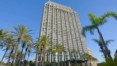 Tall high-rise building surrounded by palm trees under a clear blue sky in .. Stock Footage 284077172