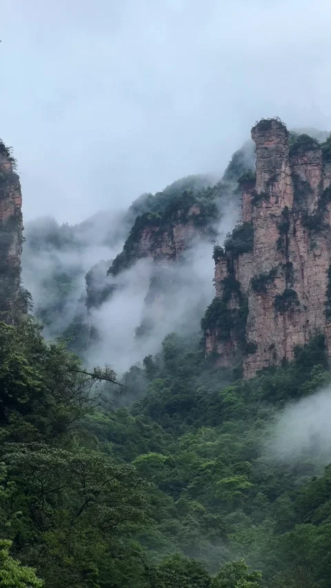 Tall karst Avatar mountain pillars rising above forest valley Stock Footage 337645995
