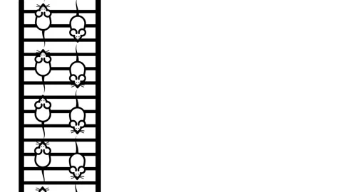 Tall Ladder Structure Line Art Stock Footage 336837069