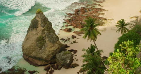 Tall limestone cliff towers over white sand and palm trees at Diamond Beach in Video stock 343377970