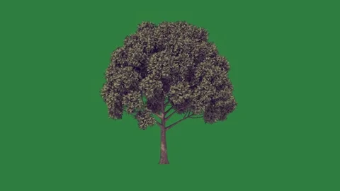 Tall Looping With Tower On Green Screen Chroma Key Background Video stock 338018031
