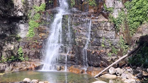 Tall Minnamurra falls stream falling down from cliffs in national park in 4k. Stock Footage 139963158