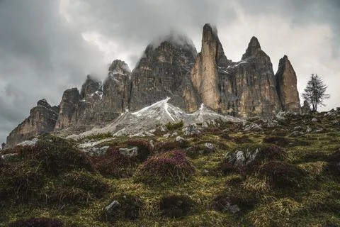 A tall mountain covered in clouds, with a tree in the foreground Stock Photos