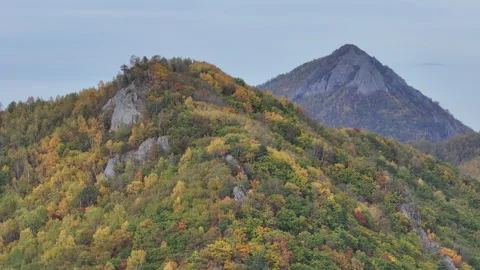 Tall Mountain Covered in Thick Trees Stock Footage 265843632
