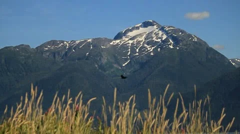 Tall mountain Stock Footage 10751266