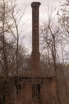 Tall Old Brick Chimney Stack Rising Above Bare Winter Trees in Abandoned In.. Stock Photos