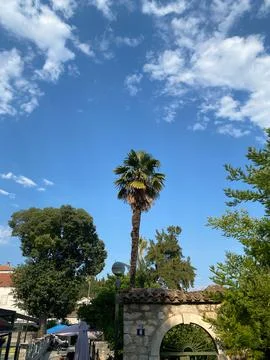 Tall palm tree rises behind a stone archway under a cloudy blue sky Stock Photos