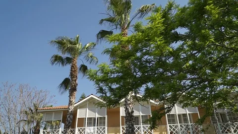 Tall palm trees grow on the background of the yellow building. Panorama from Video stock 92154802