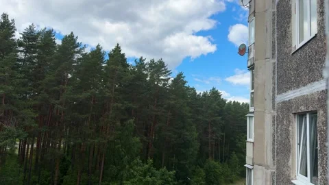 Tall pine forest next to residential apartment building Stockbeeldmateriaal 339723781