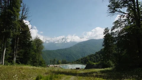 Tall pine trees frame this view of Lake in Caucasian mountains. Balneological Stock Footage 208878583