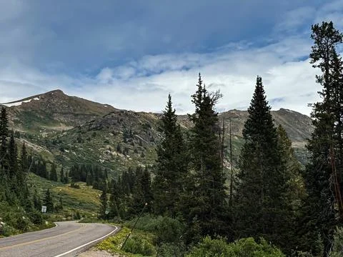 Tall Pine Trees Under a Dramatic Sky in a Mountain Forest Foto stock