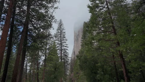 Tall pines and cloud capped granite cliff in Yosemite Valley Video stock 348051926