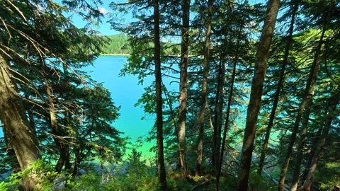 Tall pines frame a vibrant turquoise lake. Black Lake, Montenegro 動画素材 342971642