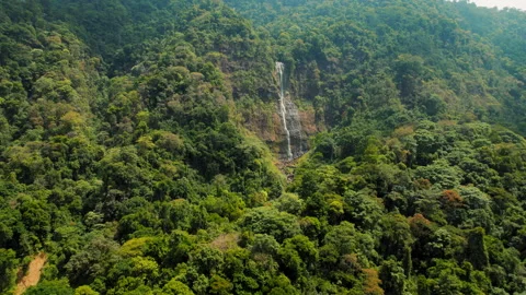 Tall rainforest waterfall cascading down steep cliffs in lush wilderness Video stock 327793223