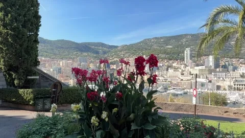 Tall Red Flowers with Monaco Cityscape - Static Daytime View Stock Footage 346565101