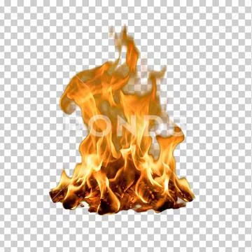 Tall rising fire flames isolated on transparent background. PSD Template