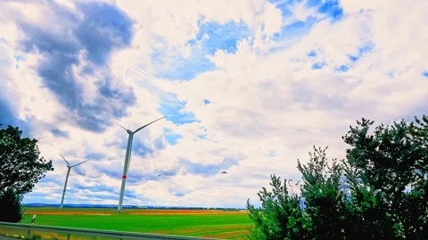 Tall Roadside Trees Passing Beneath Cloudy Sky Stock Footage 345653897