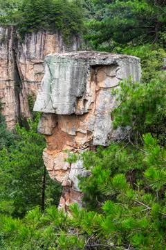 Tall rock formation surrounded by dense green foliage in Zhangjiajie, China.. Stock Photos