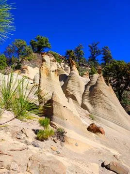 Tall rock formations and trees on a sunny day at a nature site with clear b.. Stock Photos