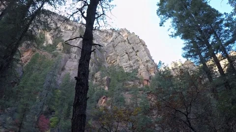 Tall Rock Mountain &amp; Pine Trees- West Fork Trail- Sedona AZ Stockbeeldmateriaal 312365248