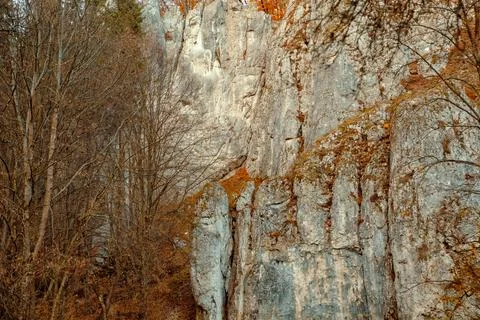 Tall rocks are surrounded by trees shedding leaves in a natural place during  Stock Photos