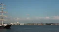 Tall ship Mercedes reaching the harbor at Hanse Sail HD Footage